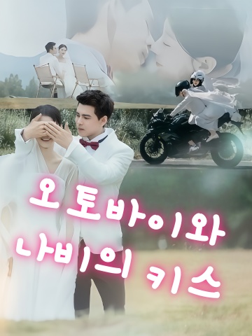 오토바이와 나비의 키스