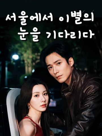 서울에서 이별의 눈을 기다리다