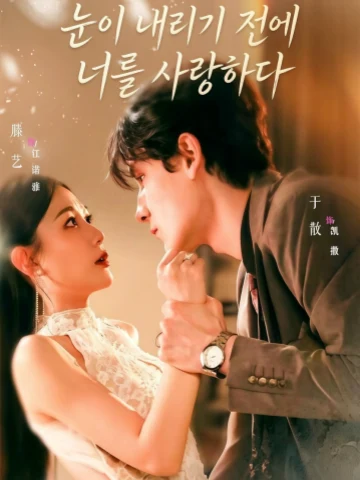 눈이 내리기 전에 너를 사랑하다
