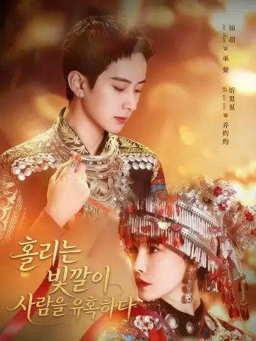 홀리는 빛깔이 사람을 유혹하다